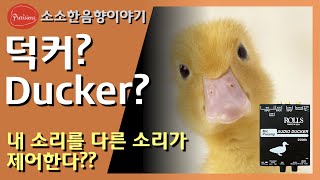 덕커? Ducker? 내 소리를 다른 소리가 제어 한다고? 덕커에 대해서 알려드립니다. (소소한음향이야기 15편)