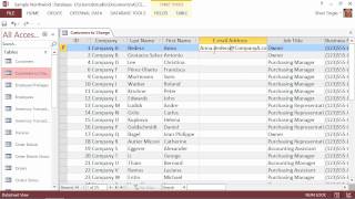 Celebrity Microsoft Office Access 2013 Tutorial: Deleting and Changing Records | K Alliance Profile