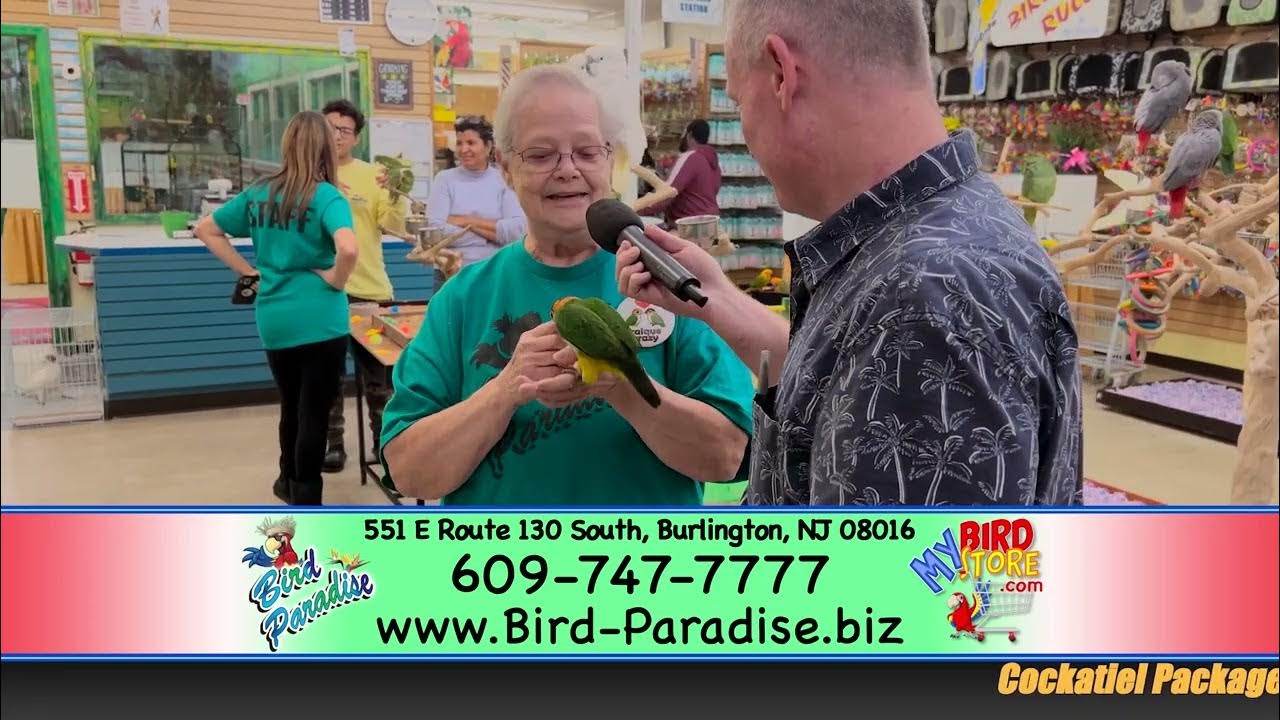 Bird Paradise Store Burlington NJ - YouTube