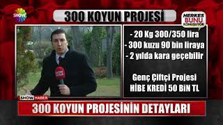 300 koyun projesinin detayları