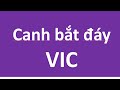 Canh bắt đáy VIC