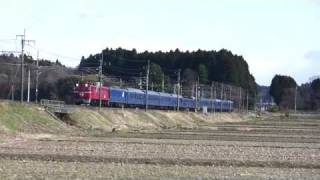 2009.3.29 2レ、寝台特急「北斗星」EF81-88＋24系(HD)