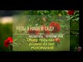 ✿➽  Обзор посылки с розами из питомника РОЗОМАНИЯ 🌺🌿сезон 2021🌺🌿