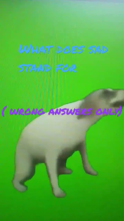 Whats Does Sad Stand For wronganswersonly YouTube whats-does-sad-stand-for-wronganswersonly-youtube
