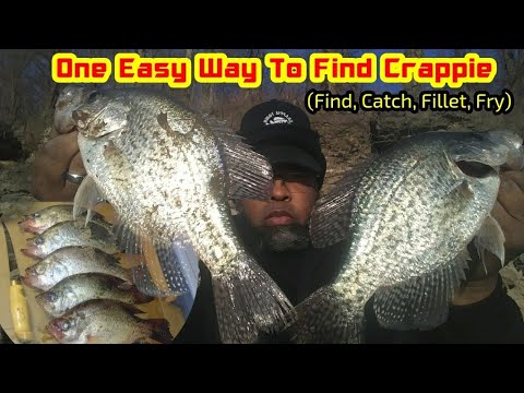 One Easy Way To Find Crappie - Find, Catch, Fillet & Fry CRAPPIE TOWN USA BABY - YouTube