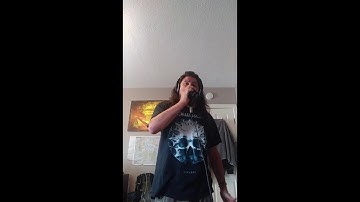 Desecrate Ethereal- The Void (Vocal Cover)