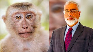 What Monkeys Teach us About Motivation and Dopamine #success #motivation #science Profile