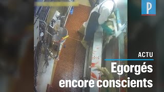 Un abattoir suspendu après la diffusion d’images chocs d’agneaux maltraités