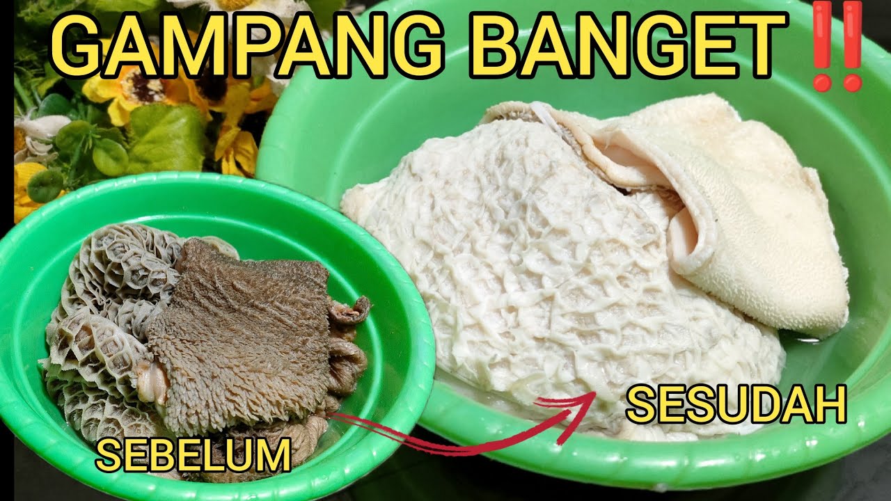 TIPS CARA MEMBERSIHKAN BABAT TANPA KAPUR SIRIH DAN BAHAN KIMIA HASILNYA LUAR BIASA BERSIH BANGET