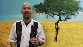 Elevate your Facilitation: Introduction to Professional Development | California Academy of Sciences