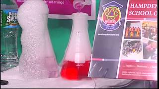 HCSS Science Fair News - MyMassAppeal