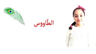 -آيات-- تغني أنشودة - الطّاووس