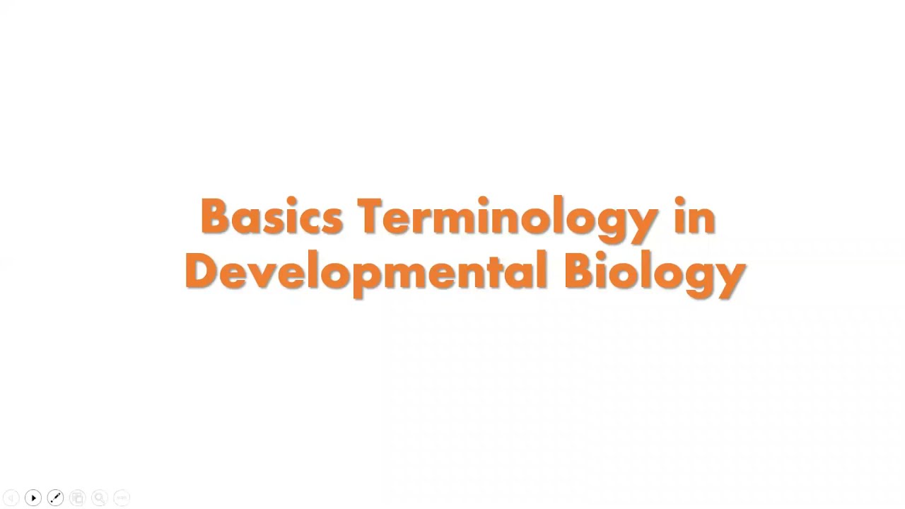 Basics Terminology in Developmental Biology Part 1(Development Biology)