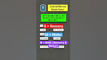 🔥 How to Remember Cranial Nerve Functions in 1 MINUTE! [Nursing Mnemonic Made Easy]