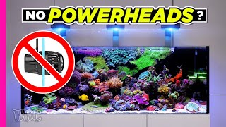 180 Gallon Tank with No Power Heads?