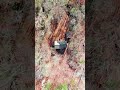 2739 Ridgeview Rd, Powhatan, VA, 23139