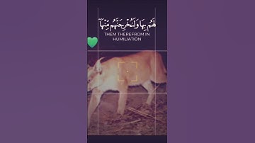 القاري الشيخ ياسر الدوسري سورة النمل قراءة خاشعة 💚 ارجع إليهم 💛#اكسبلور #دويتو #ترند
