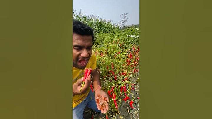 Lal mirchi khaya🥵 |Instragram Funny Comment| #shorts