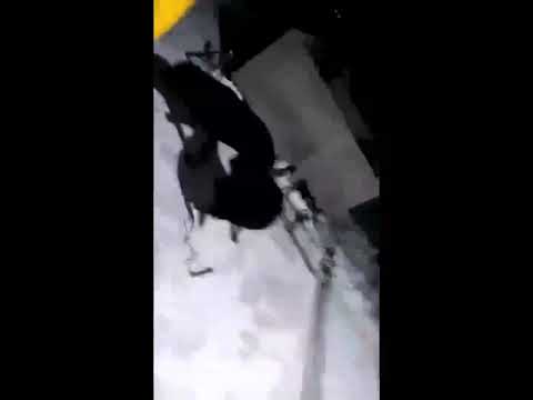 عمرو اينو سكة سفر فى الديقة