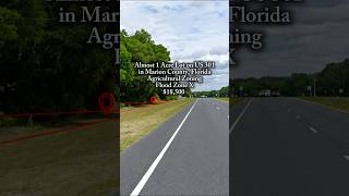 Almost 1 Acre Lot in Florida for $18,500.#florida #land #landforsale #property #fyp #realestate
