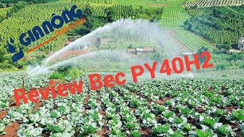 Béc Tưới Py40 Tưới Rau Cải Bắp Cực Đều Thiết Bị Tưới Gia Nông #9