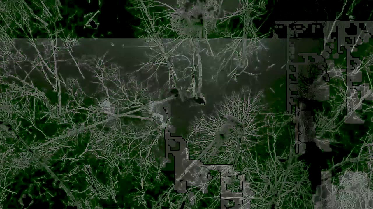 Watch Laval - Forest Murder on YouTube Watch Laval - Forest Murder on YouTube