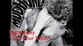 Video thumbnail of "Mudhoney - Into Your Shtik"