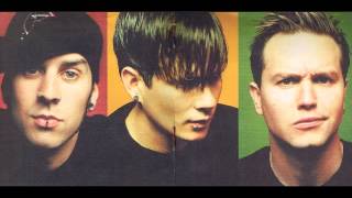 Blink 182 Roller coaster Subtitulada