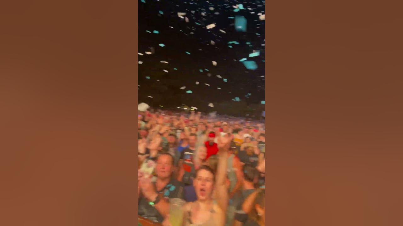 Katt fest YouTube
