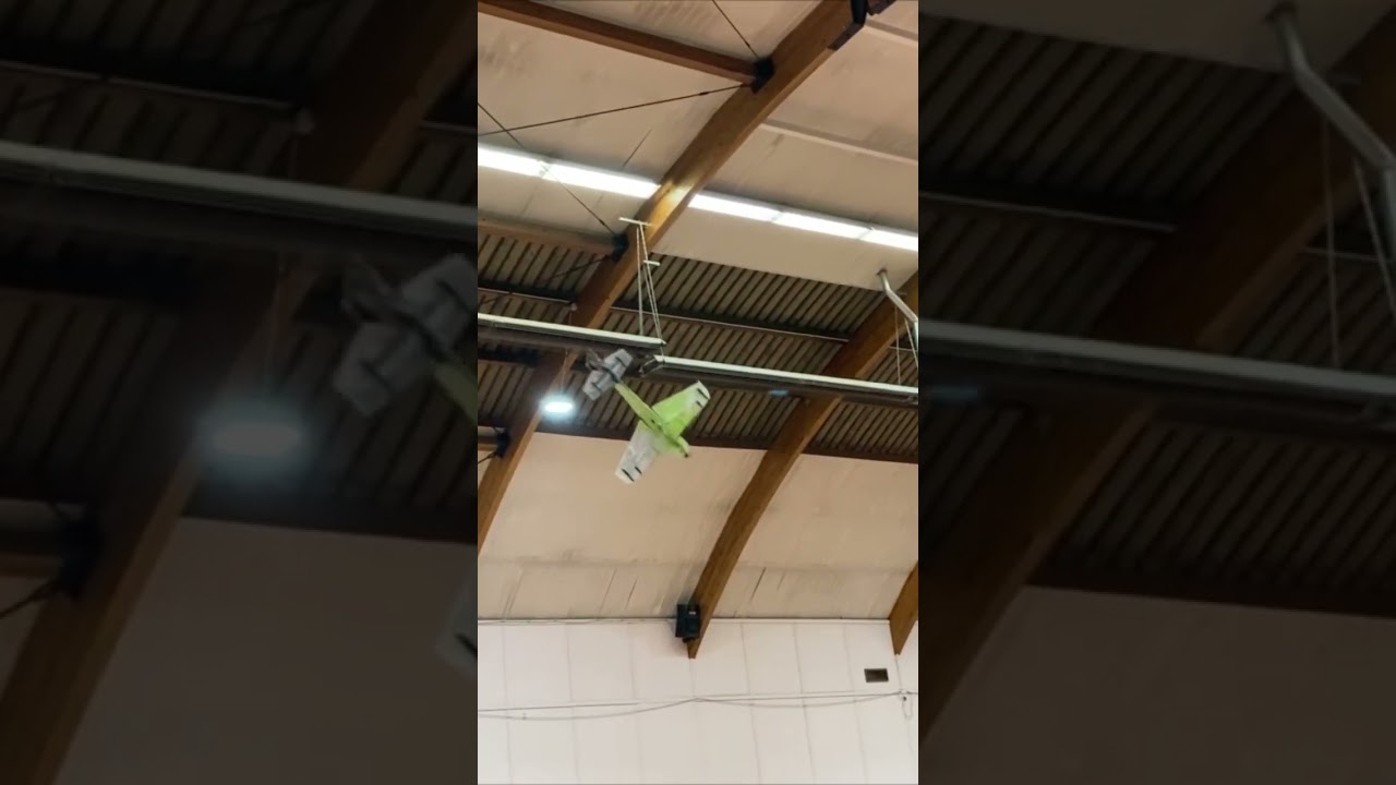 le polyclub à évité de justesse avion Edge 540