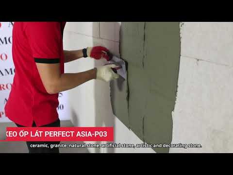 Video Asia Star - youtube