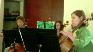 DSCN1484.AVI
