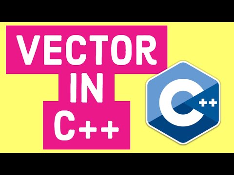 Video: Bagaimana Anda menghapus fungsi vektor di C++?