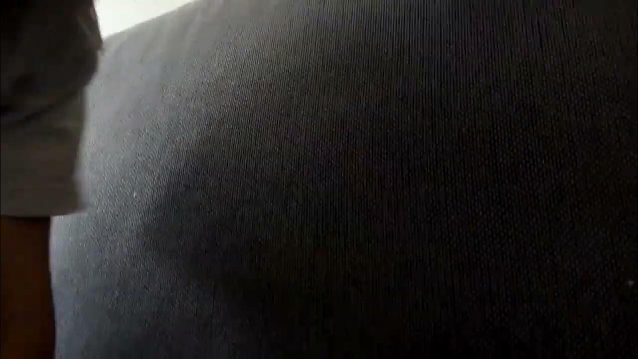 animal crossinghow to get wardells secret catalog YouTube