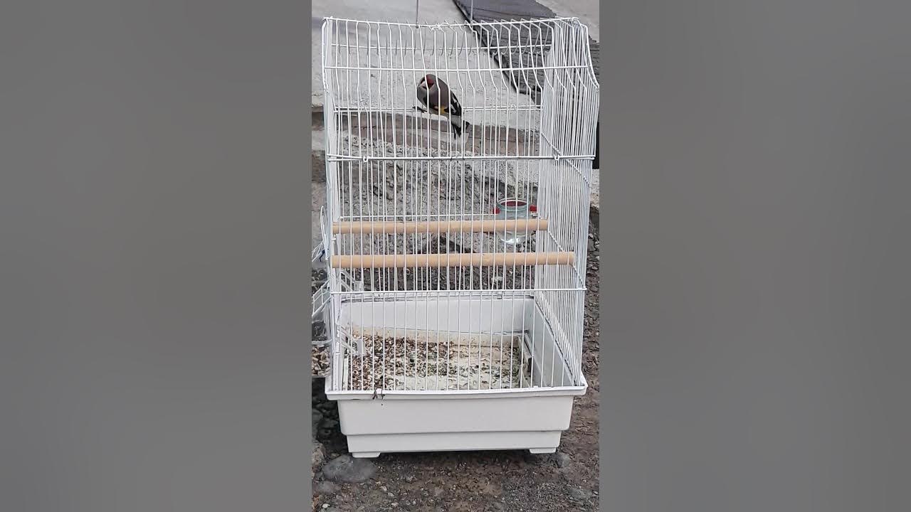 Овози каюки мода. Овози саба. Овози саба. Духтари точик дар баня. Овози саба.