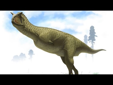 Newly Discovered Dinosaur From Argentina Belongs to a Rather &rsquo;Armless&rsquo; Family