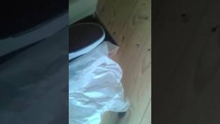 Omg Megaaa Krankes Yeezys 360 Opening Mit Katja Krasavice Fettes Gewinn Spiel