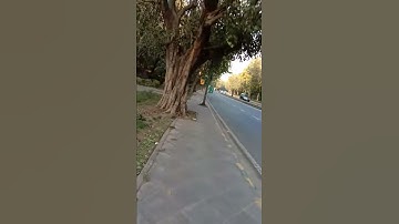 Ignou Solved Assignment MPSE 8 2018-19