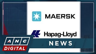 Maersk prepares to restart operations in Red Sea | ANC