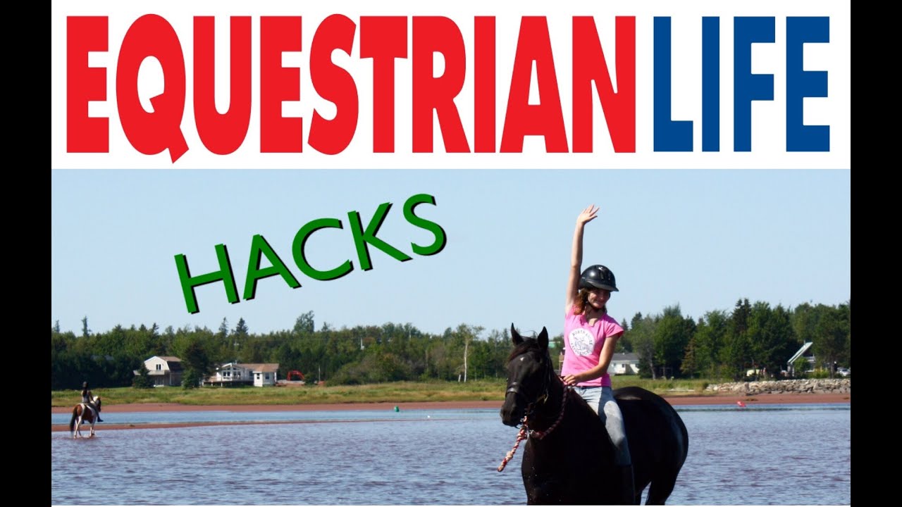 EQUESTRIAN LIFE HACKS!