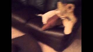 Serious reaction gif video