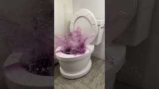 Falling Into Worlds Largest Toilet Purple Pool With Biggest Splash Contest