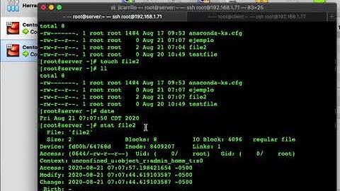 Comandos stat & touch - RedHat / Rocky Linux / Alma Linux / Oracle Linux / CentOS