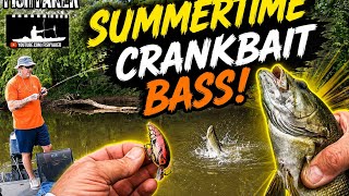 Summer Crankbait Susquehanna Smallmouth Bass!