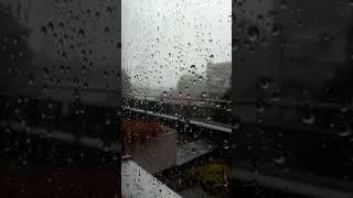 #стихи #стихиожизни #b_l_a_c_k_v_e_l_v_e_t #shorts #shorts #rain #жизнь #мысли