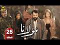الحلقة 25 مسلسل مولانا بطولة تيم حسن رمضان 2026 الحلقة 25 مسلسل مولانا بطولة تيم حسن رمضان 2026