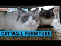 Review cat wall furniture and beds no more cheap cat towers for our rag doll kitties