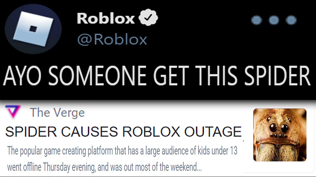 THE ROBLOX WEBSITE WENT DOWN AND EVERYONE PANICKED! 