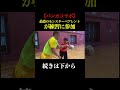 バンカラジオ#スクワッド #バンカラジオ#バスケ