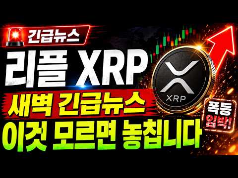리플 XRP, 새벽 긴급뉴스 터졌다!! '이것' 모르면 당합니다!!